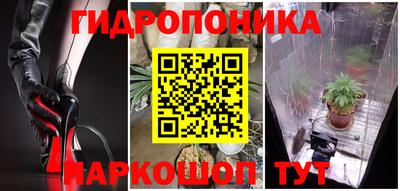 ПСИЛОЦИБИНОВЫЕ ГРИБЫ Свободный